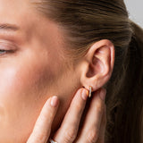 ARIELLE Guld Zirconia Øreringe